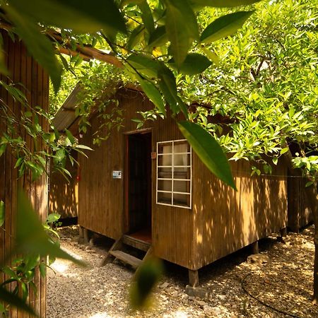 Olympos Yakamoz Pansiyon Kültér fotó