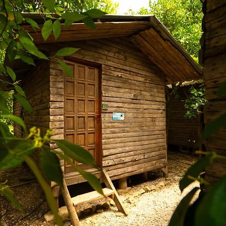 Olympos Yakamoz Pansiyon Kültér fotó