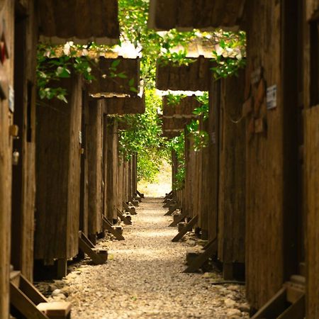 Olympos Yakamoz Pansiyon Kültér fotó