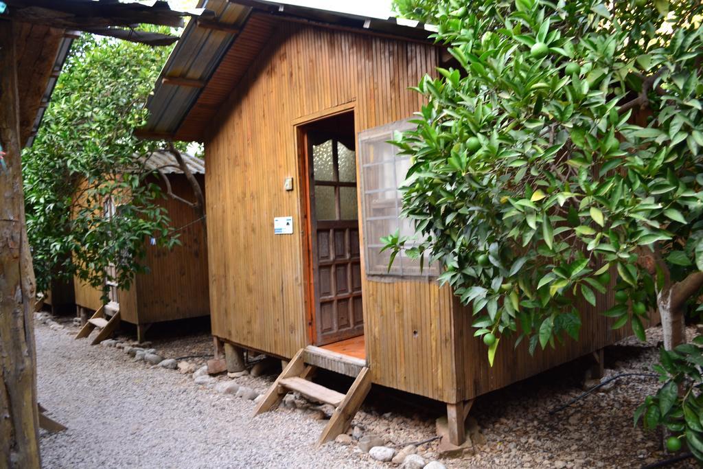 Olympos Yakamoz Pansiyon Szoba fotó