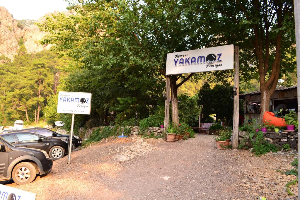 Olympos Yakamoz Pansiyon Kültér fotó