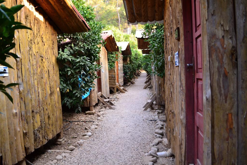 Olympos Yakamoz Pansiyon Kültér fotó