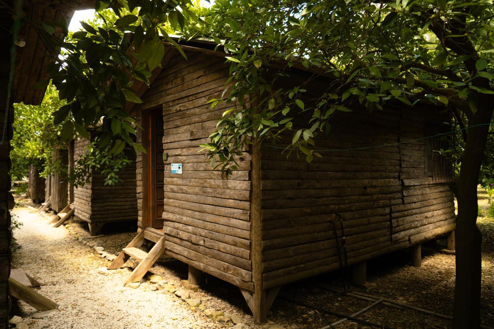 Olympos Yakamoz Pansiyon Kültér fotó