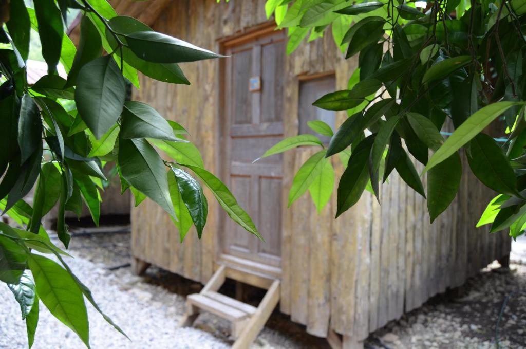 Olympos Yakamoz Pansiyon Szoba fotó