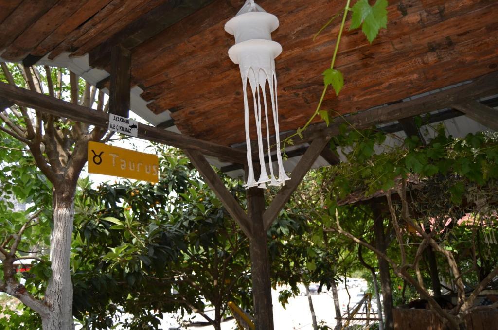 Olympos Yakamoz Pansiyon Kültér fotó