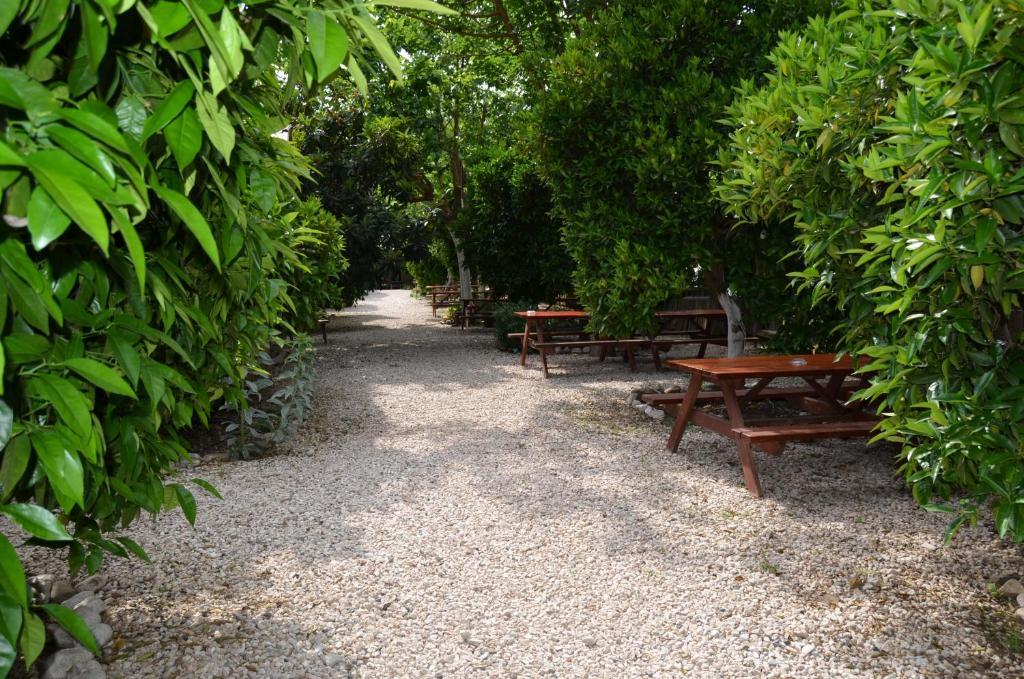 Olympos Yakamoz Pansiyon Kültér fotó