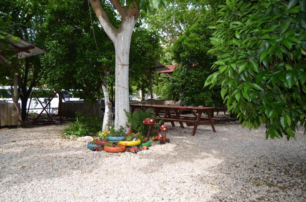 Olympos Yakamoz Pansiyon Kültér fotó