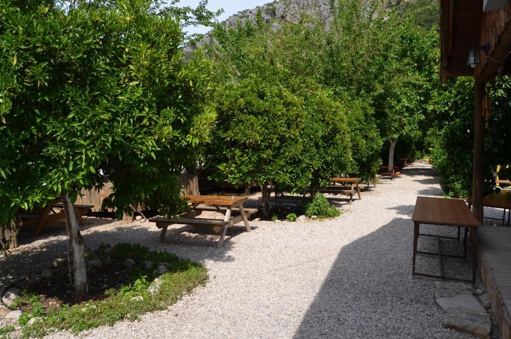 Olympos Yakamoz Pansiyon Kültér fotó