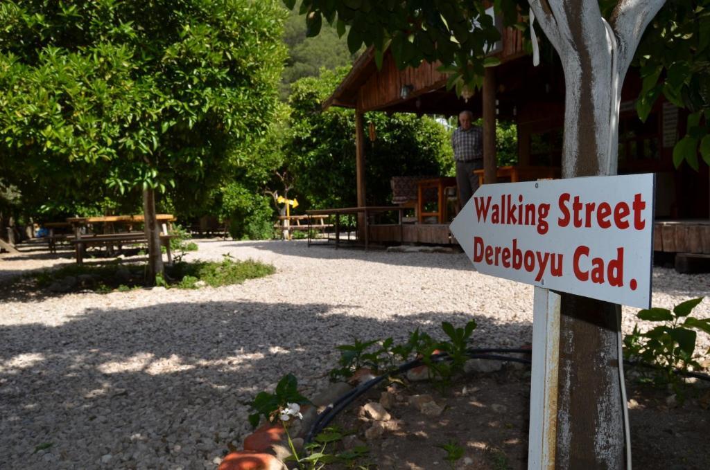 Olympos Yakamoz Pansiyon Kültér fotó