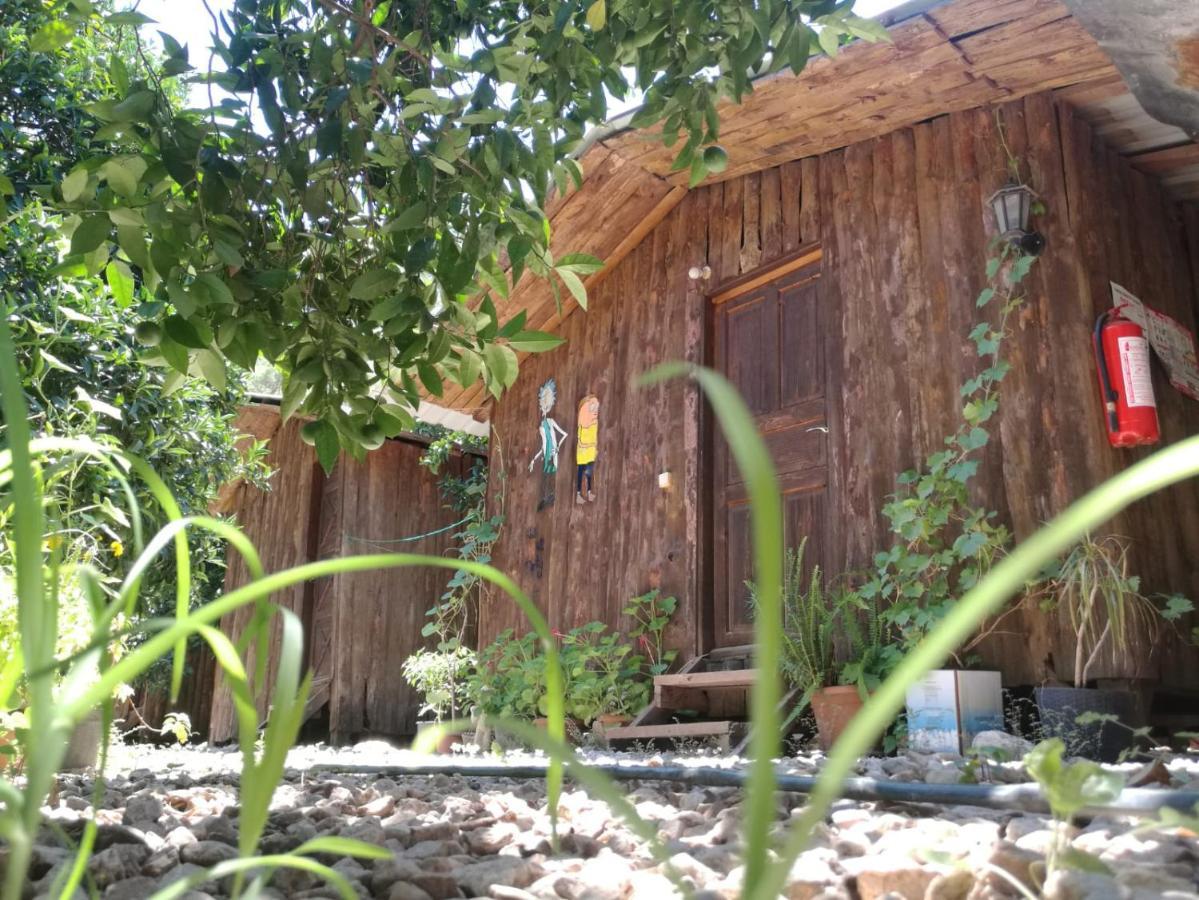 Olympos Yakamoz Pansiyon Kültér fotó