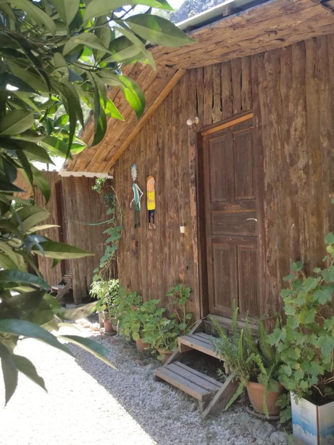 Olympos Yakamoz Pansiyon Kültér fotó