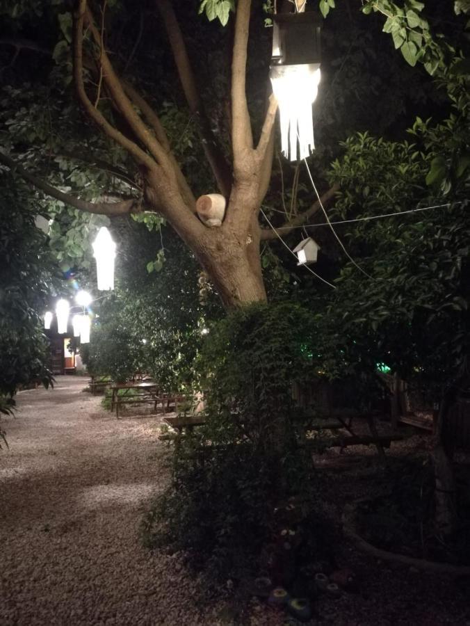 Olympos Yakamoz Pansiyon Kültér fotó