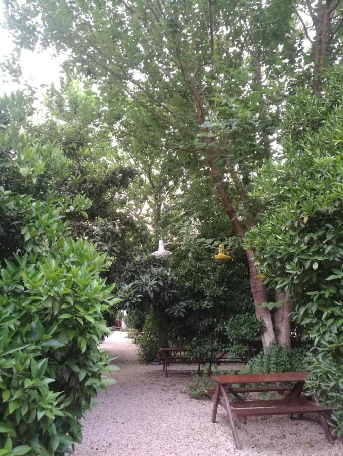 Olympos Yakamoz Pansiyon Kültér fotó