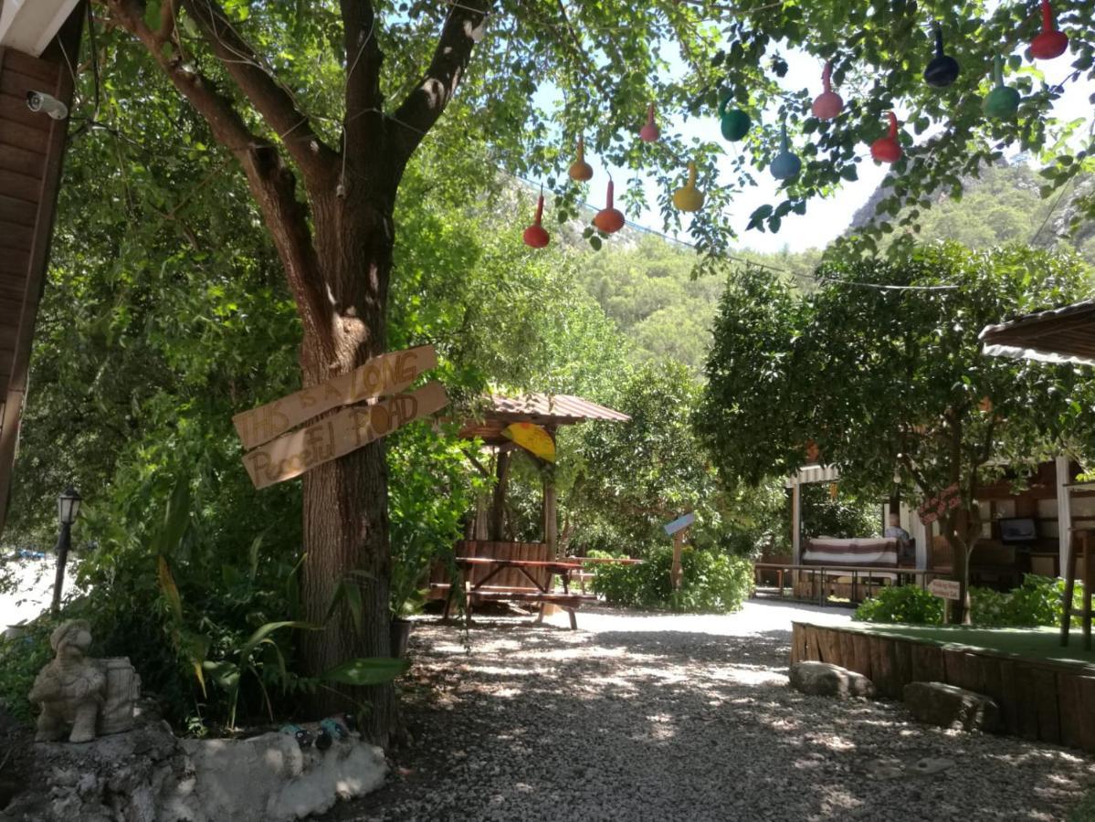 Olympos Yakamoz Pansiyon Kültér fotó