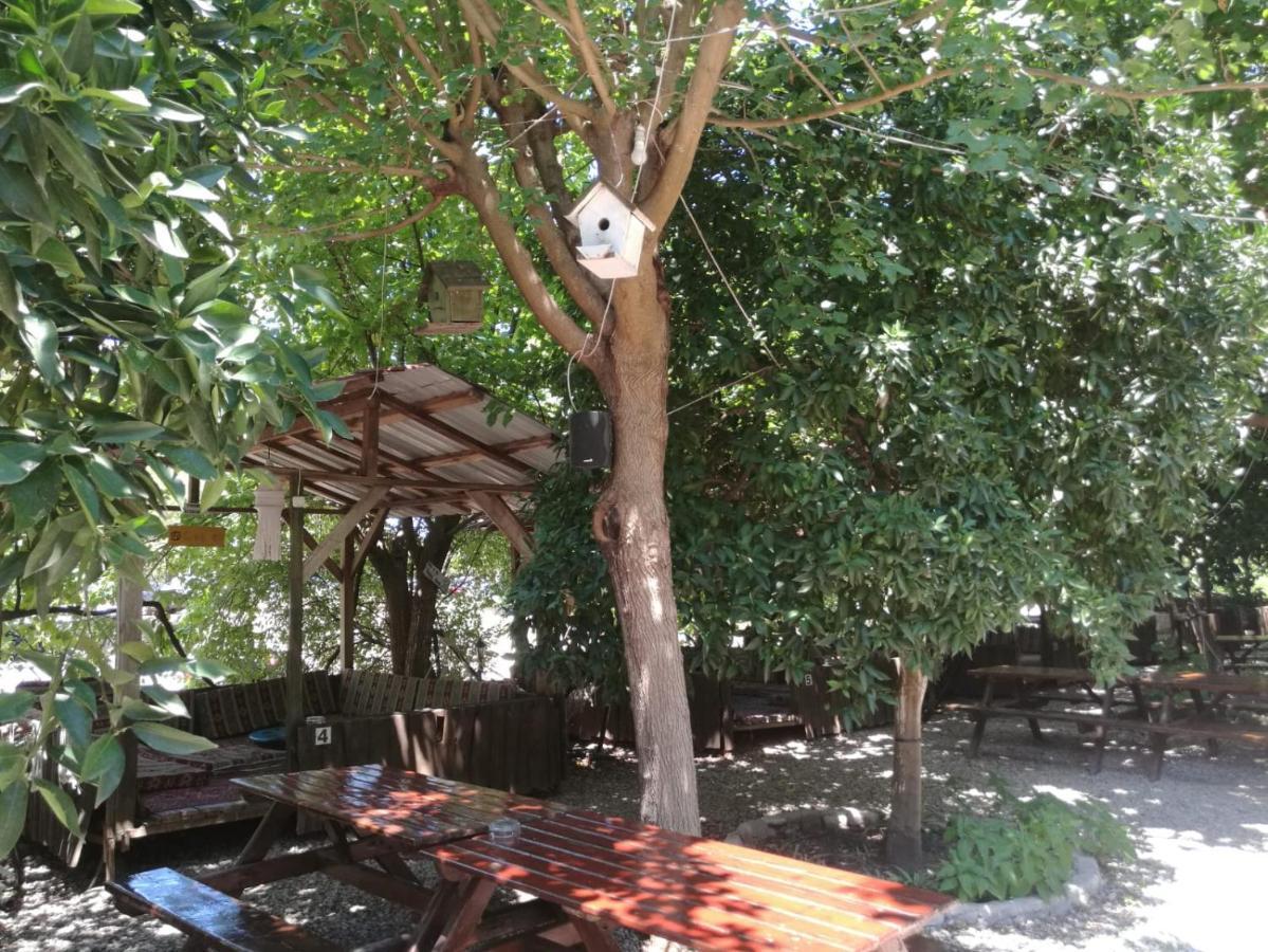 Olympos Yakamoz Pansiyon Kültér fotó