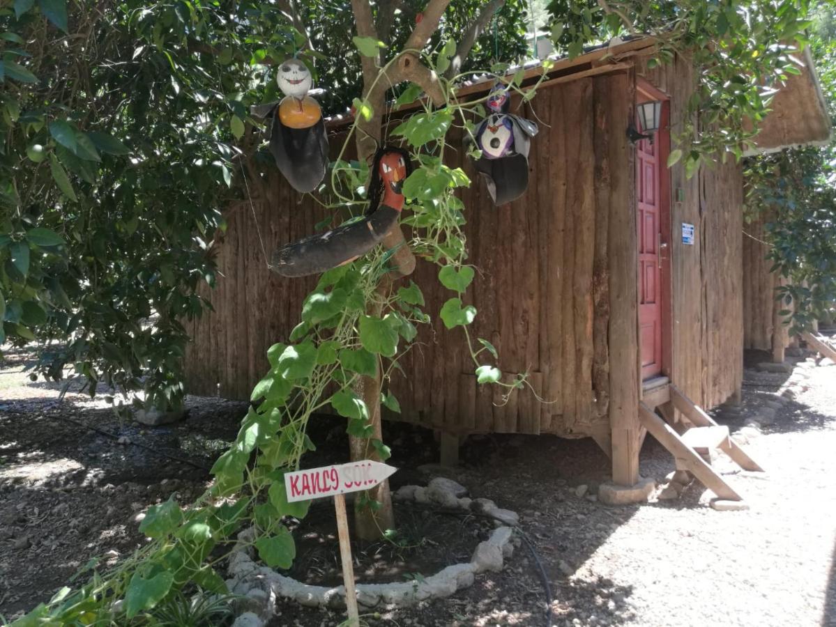 Olympos Yakamoz Pansiyon Kültér fotó