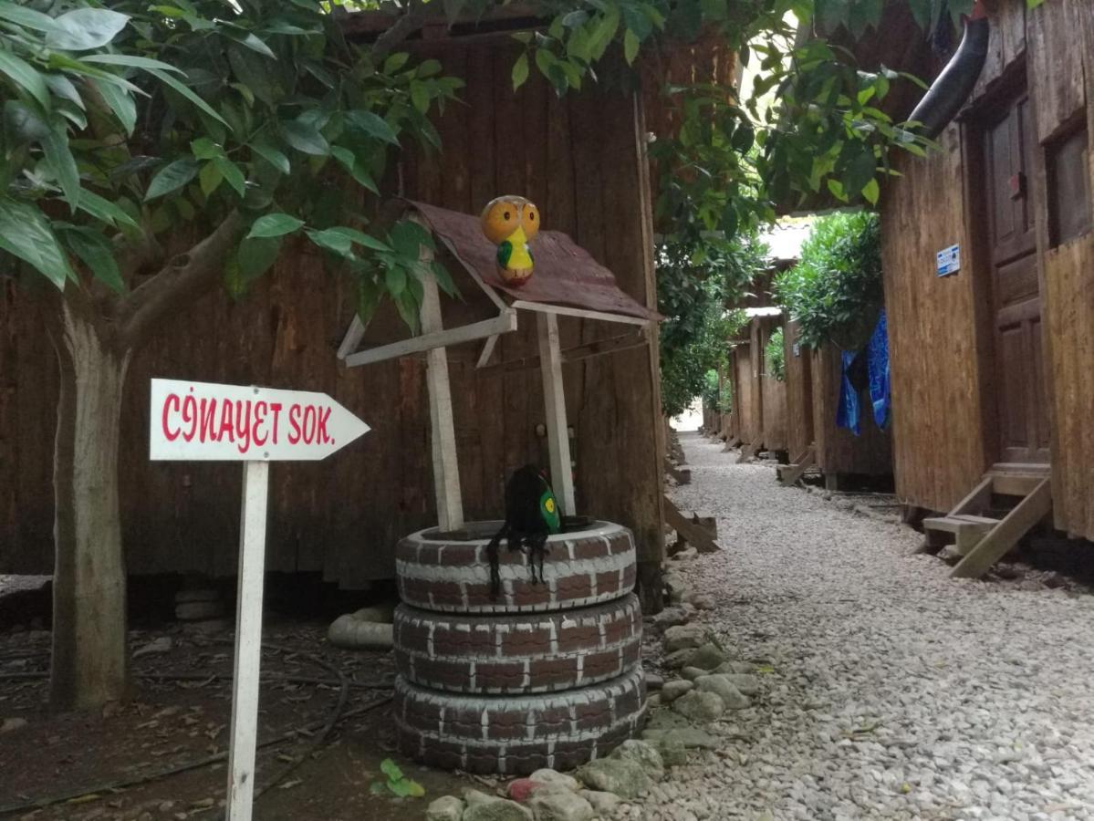 Olympos Yakamoz Pansiyon Kültér fotó