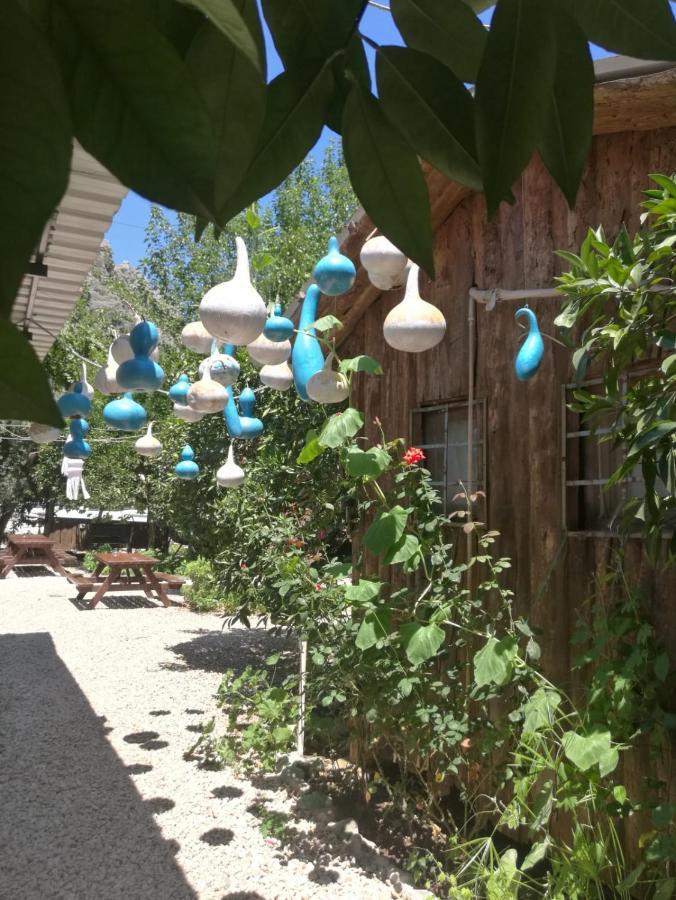 Olympos Yakamoz Pansiyon Kültér fotó
