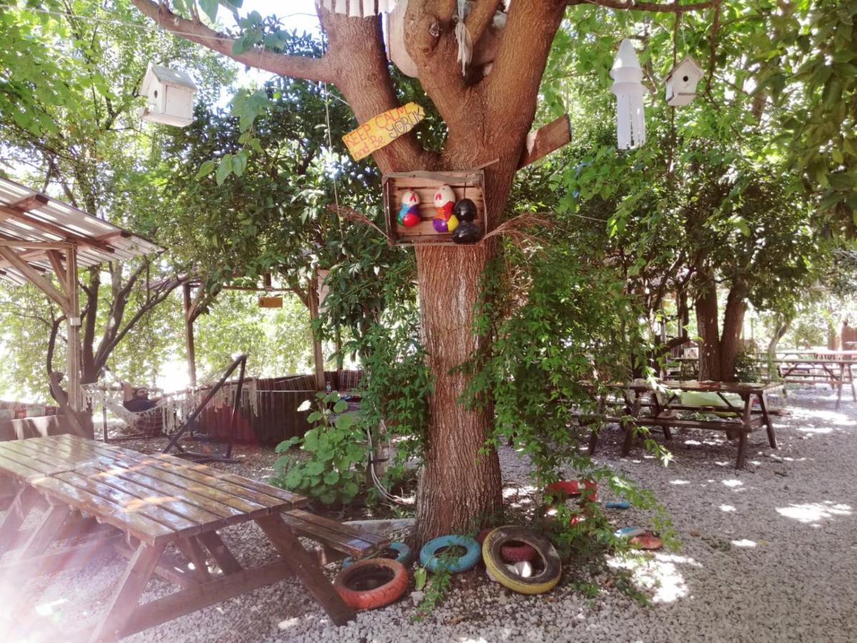 Olympos Yakamoz Pansiyon Kültér fotó