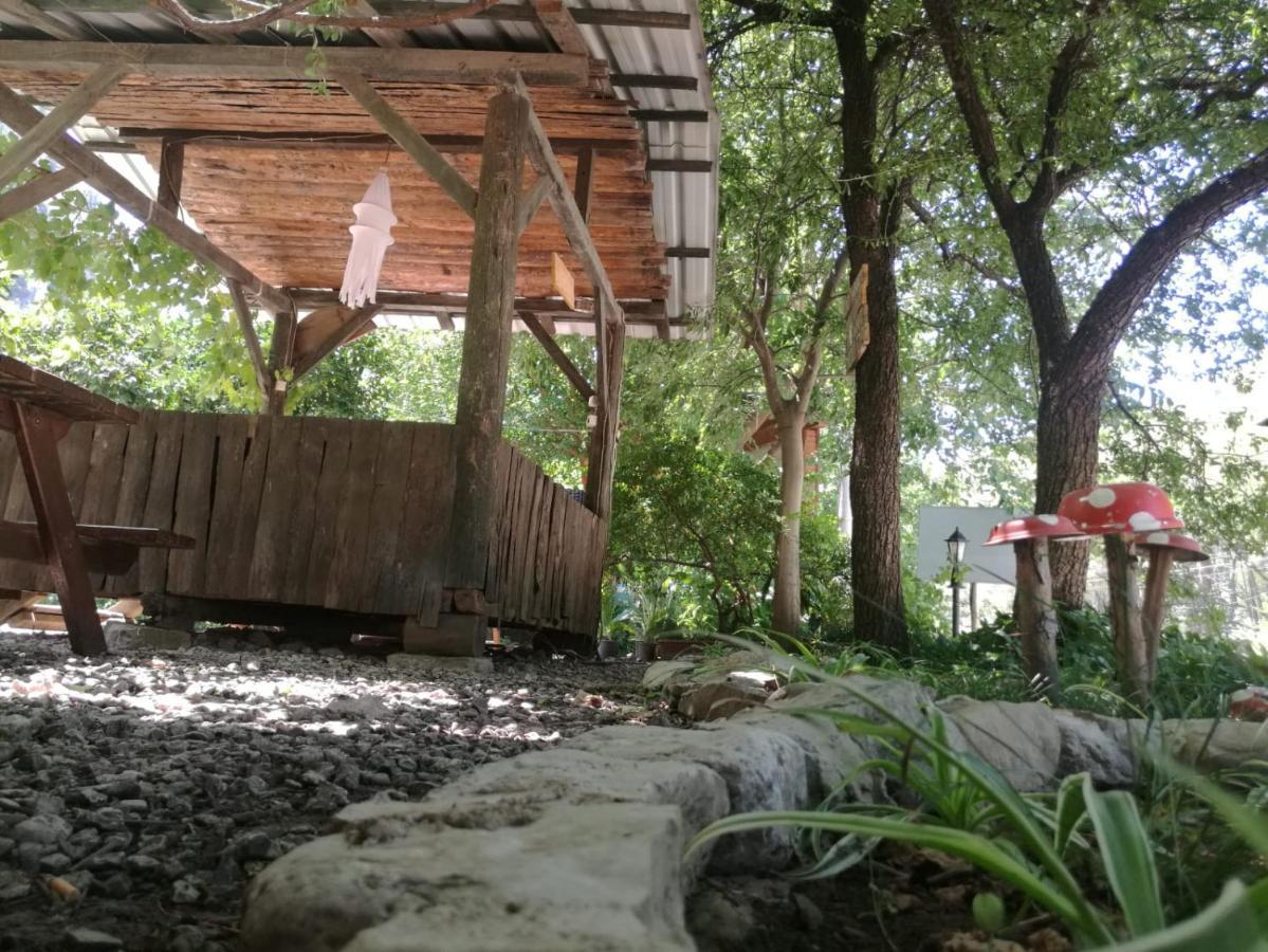 Olympos Yakamoz Pansiyon Kültér fotó
