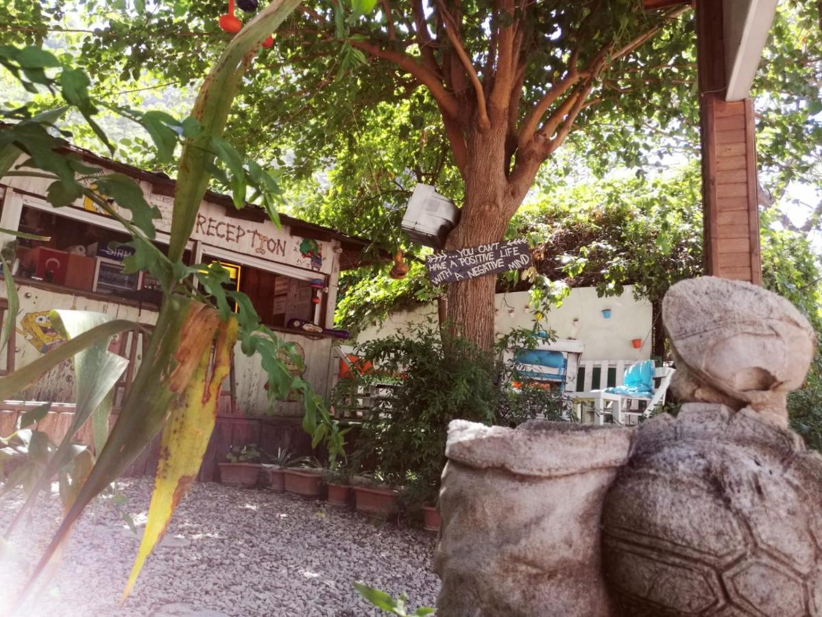 Olympos Yakamoz Pansiyon Kültér fotó