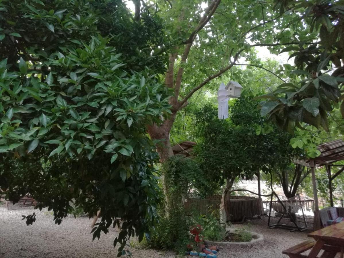 Olympos Yakamoz Pansiyon Kültér fotó