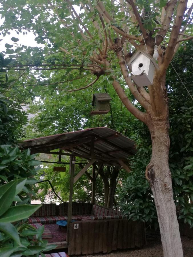Olympos Yakamoz Pansiyon Kültér fotó