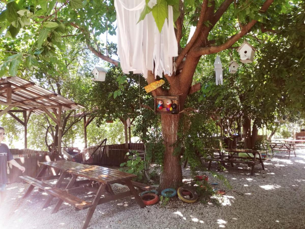 Olympos Yakamoz Pansiyon Kültér fotó